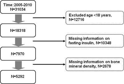 Associations of insulin resistance and insulin secretion with bone mineral density and osteoporosis in a general population